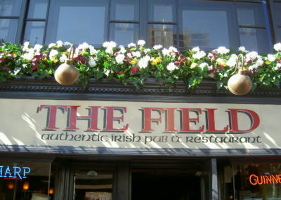 TheField_03