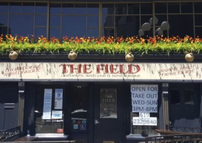 The Field 4